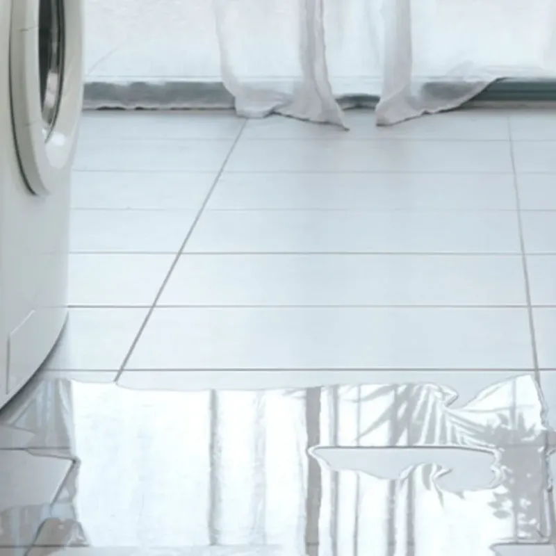Appliance Leak Cleanup in Palermo, CA
